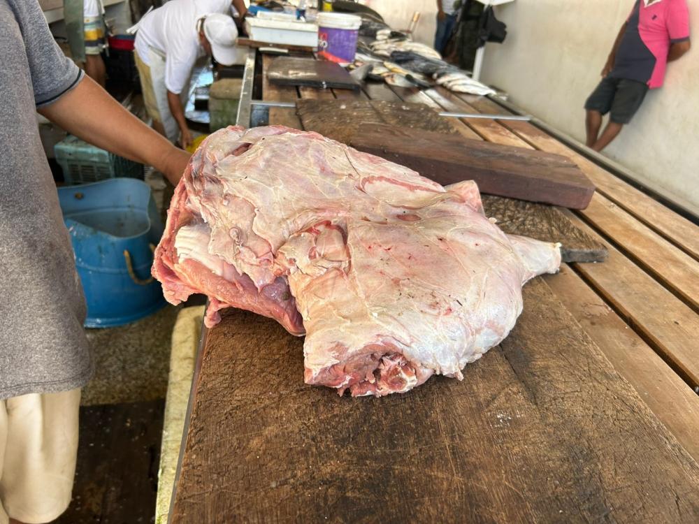 Ipaam apreende carne de capivara comercializada ilegalmente em feira de Itacoatiara