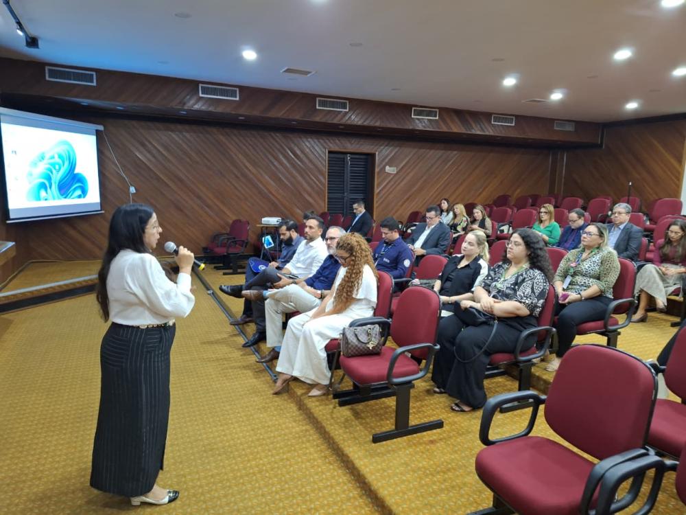 MPAM discute monitoramento eletrônico para proteger mulheres vítimas de violência