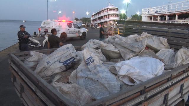 Tartarugas são apreendidas no Porto de Parintins