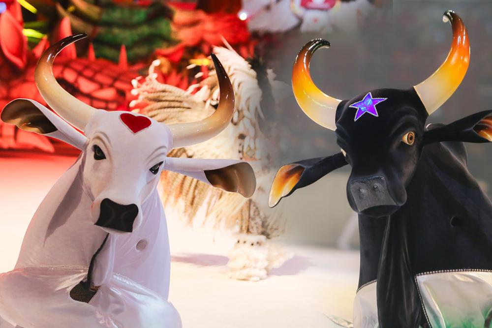 Amazon Best nega reajuste de 200% no preço dos ingressos do Festival de Parintins 2026