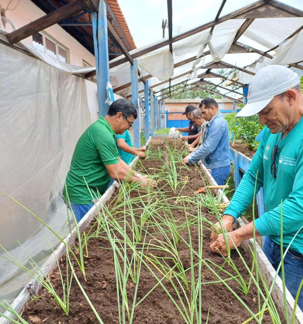 Prefeitura de Parintins prepara horta na Escola Municipal Luz do Saber para o ano letivo