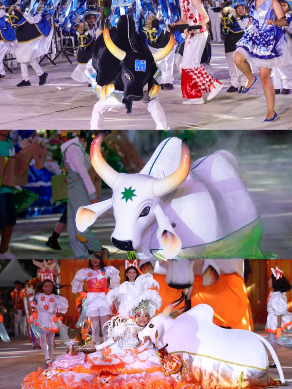 Bois mirins emocionam público e encerram programação das 59ª Festividades Folclóricas