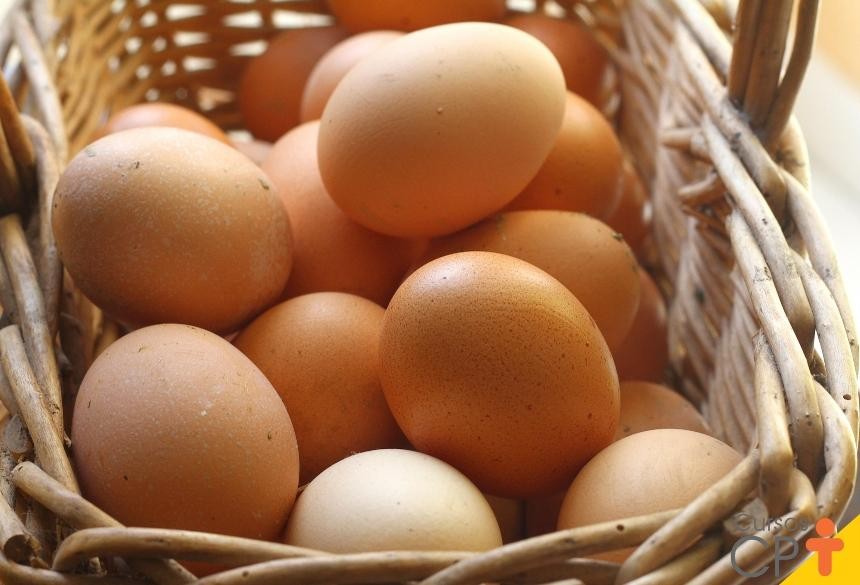 Anvisa informa que é falso o alerta sobre presença de plástico ou petróleo em ovos