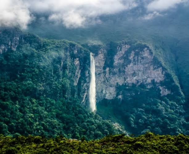 Serra do Amazonas é alvo de incursão inédita de pesquisadores brasileiros