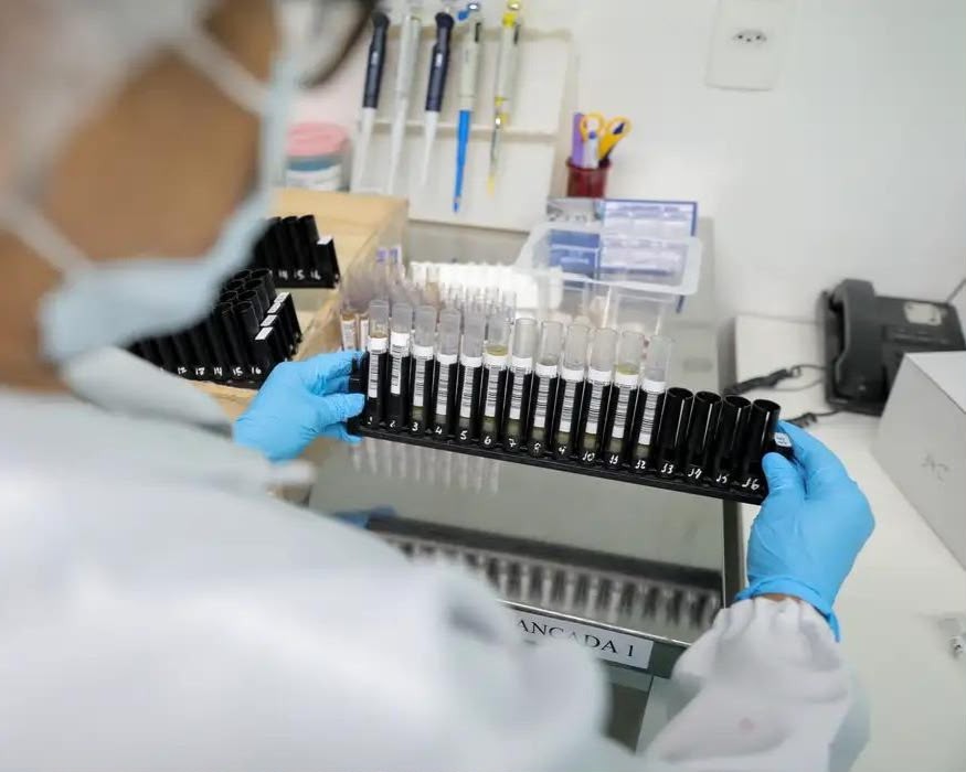 Malária: Anvisa autoriza teste em humanos de vacina 100% brasileira