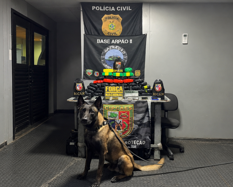 Cão ‘Xerife’ fareja e encontra 41 tabletes de droga avaliados em R$ 700 mil