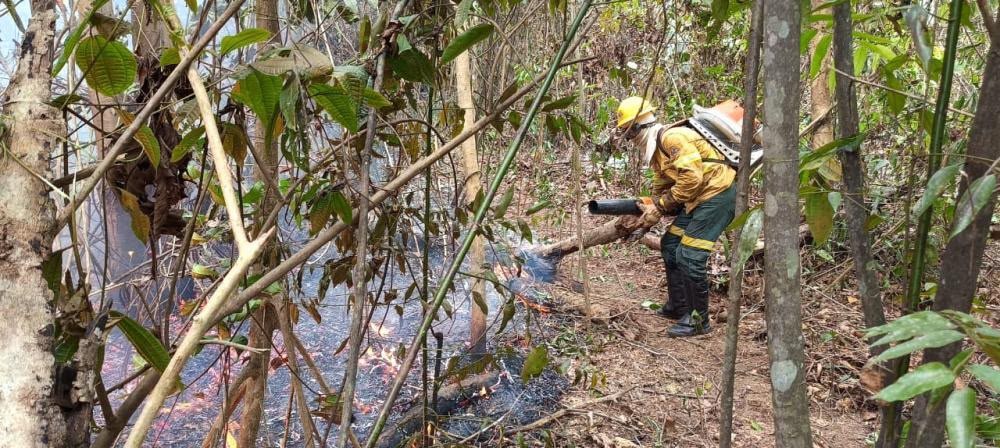 Queimadas ameaçam mais de 15 mil indígenas de 124 aldeias, aponta boletim do DSEI Parintins