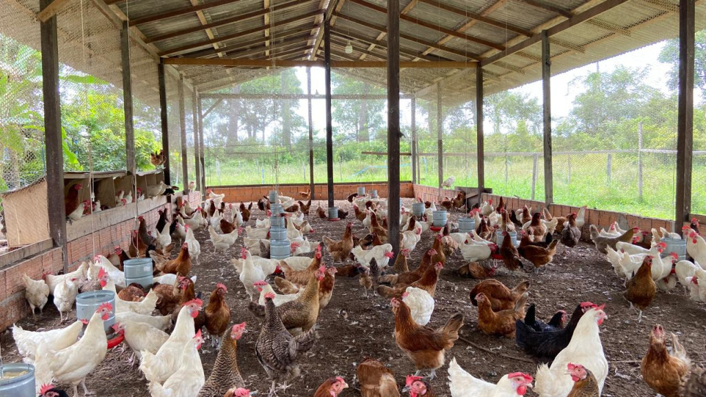 WhatsApp Image 2026-04-10 at 10.30.14 (1).jpeg