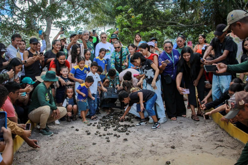 WhatsApp Image 2026-04-27 at 08.56.10.jpeg