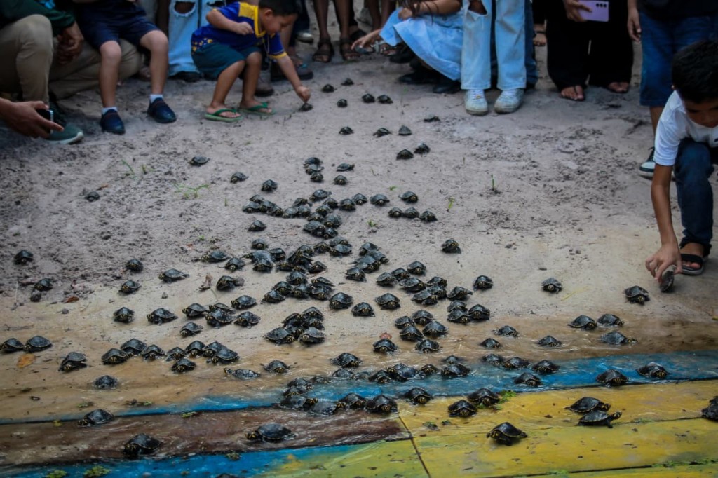 WhatsApp Image 2026-04-27 at 08.56.11.jpeg