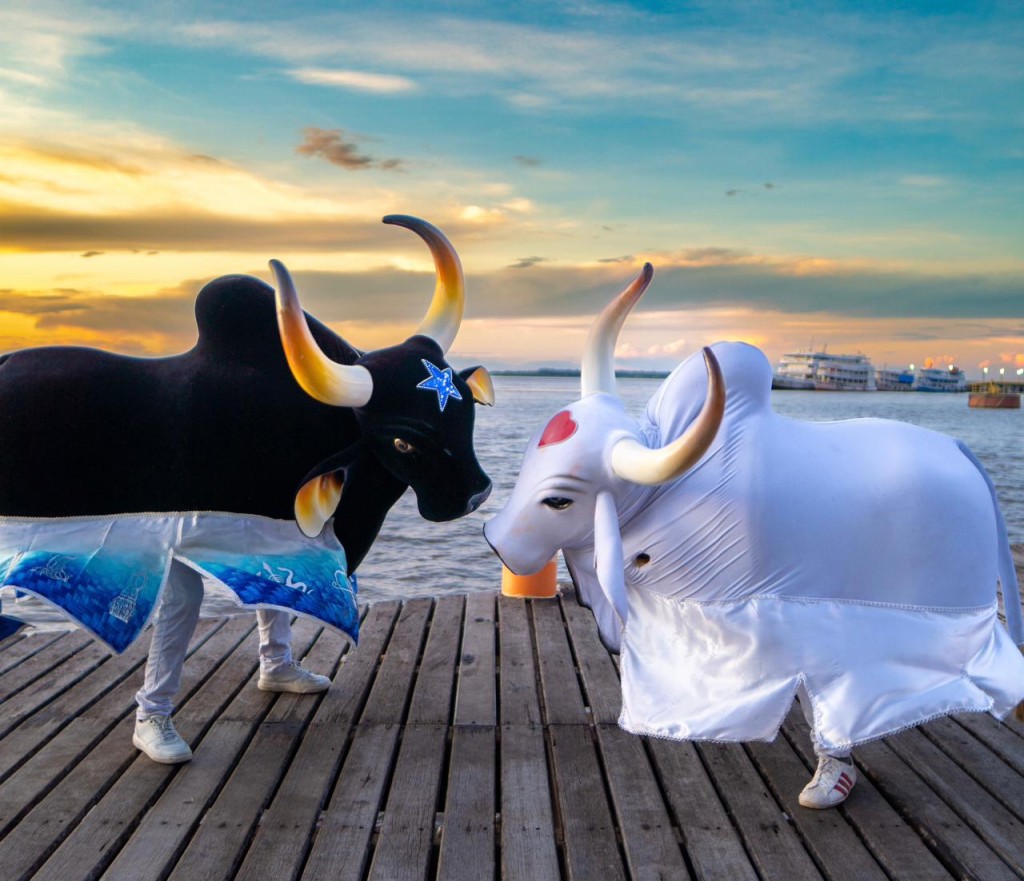 WhatsApp Image 2026-05-05 at 12.52.57.jpeg